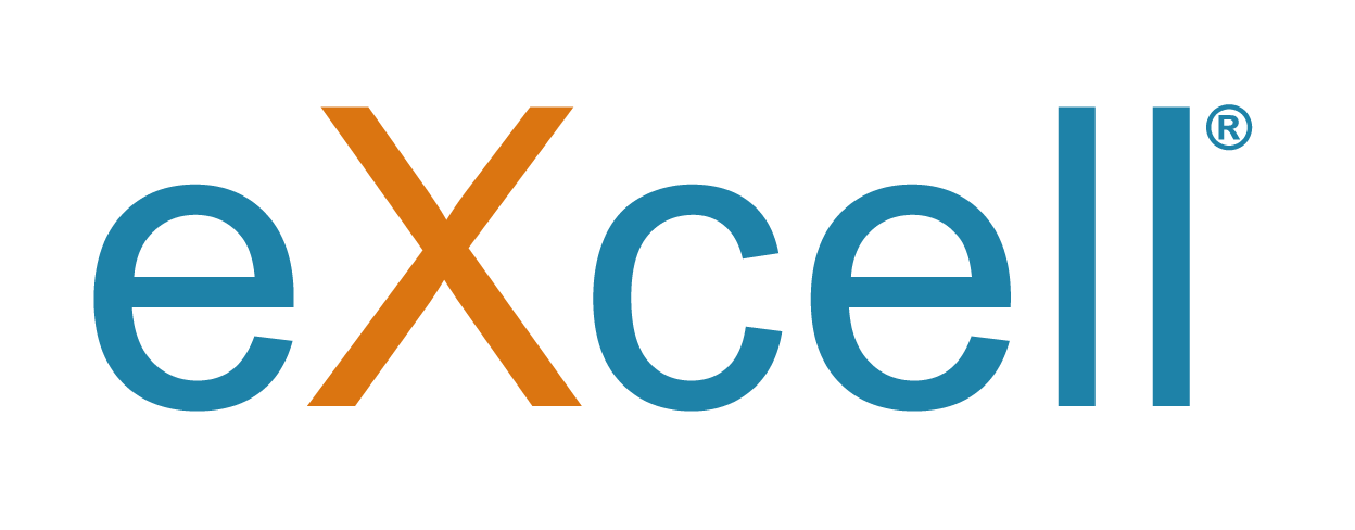 IT Staffing Agency IT Temp Agency EXcell